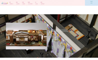 aisawa.org screenshot