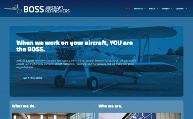 aircraftpainting.com screenshot