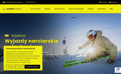 akademiacarvingu.pl screenshot