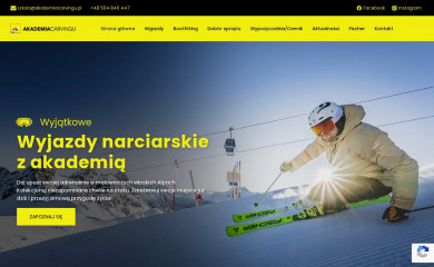 akademiacarvingu.pl screenshot