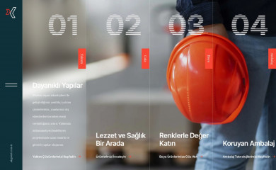 akgonul.com.tr screenshot