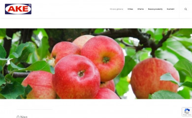 ake.com.pl screenshot