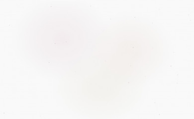 akiraizutsu.com screenshot