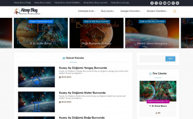 akrepblog.com screenshot