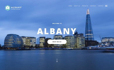 albanysurveyors.com screenshot