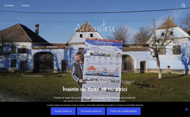 albastru.ro screenshot