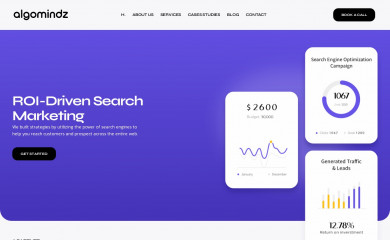 algomindz.com screenshot
