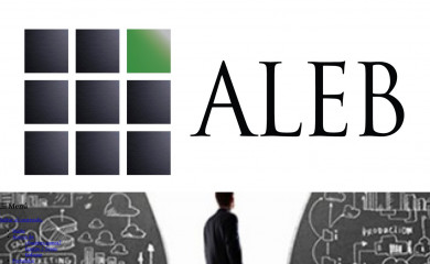 alebinvestments.com screenshot