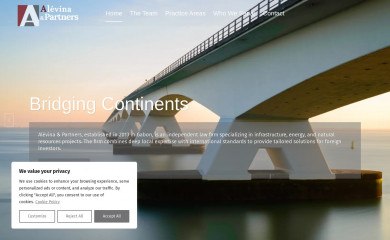 alevinapartners.com screenshot