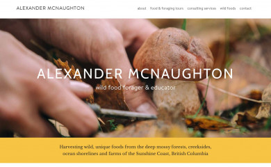 alexandermcnaughton.com screenshot