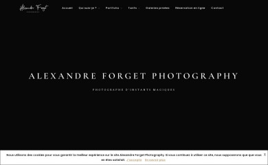 alexandreforget.fr screenshot