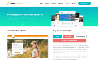 https://alexathemes.net/themes/vision-charity-wordpress-theme/ screenshot