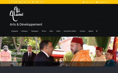 alialaoui.com screenshot