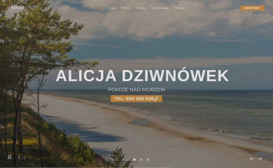 alicjadziwnowek.pl screenshot