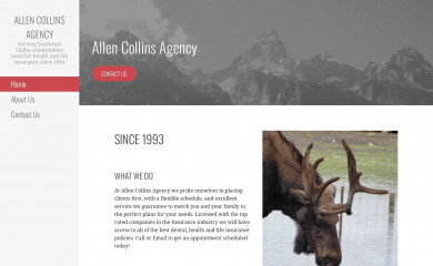 allencollinsagency.com screenshot