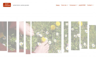 allesstroomt.eu screenshot