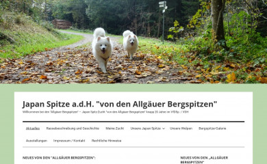 allgaeuer-spitze.de screenshot