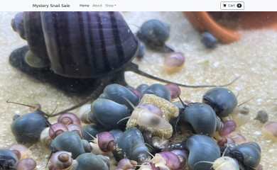 allisonandersondesigns.com screenshot