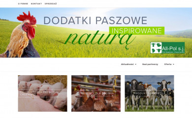 allpol.com.pl screenshot