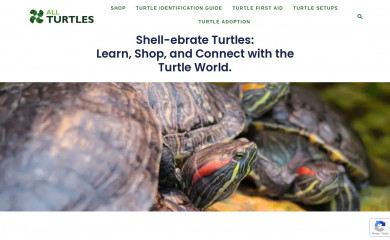 allturtles.com screenshot