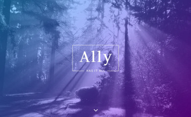 Ally Child Theme screenshot