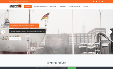 almanyadanismanlik.com screenshot