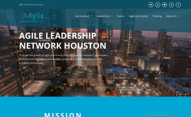 alnhouston.org screenshot