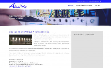 alsaelec.com screenshot