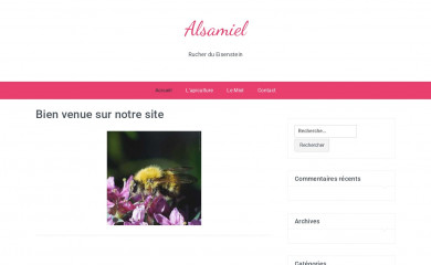 alsamiel.fr screenshot