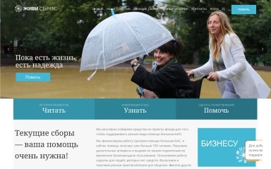 alsfund.ru screenshot