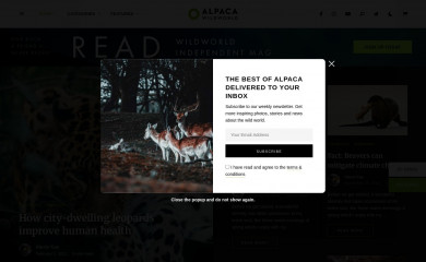 https://alpaca.loftocean.com/demo5/ screenshot
