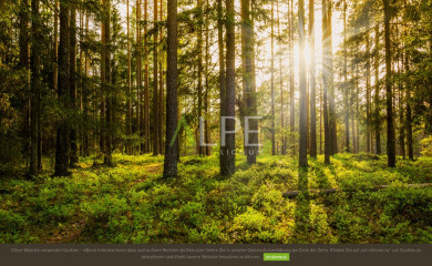 alpelignum.at screenshot