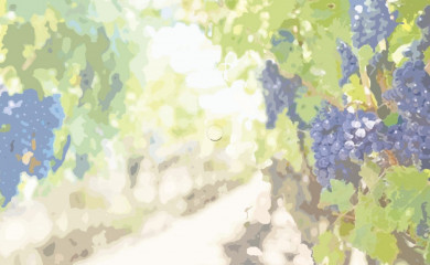 altopico.com screenshot