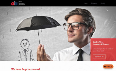 alvesinsurance.com screenshot