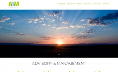 am-ltd.com screenshot