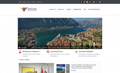 amcham.me screenshot