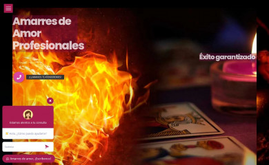 amarresdeamorprofesionales.com screenshot