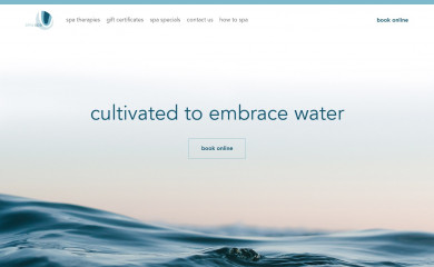 amaspachattanooga.com screenshot