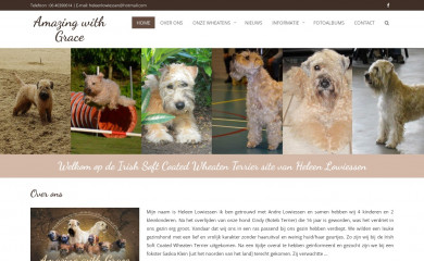 amazingwithgrace.nl screenshot