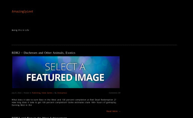 amazinglyleet.com screenshot