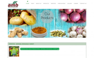 ambmauritius.mu screenshot