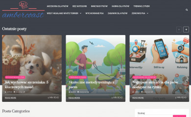 ambercoast.pl screenshot