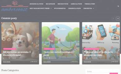 ambercoast.pl screenshot