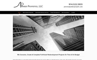 amberpropllc.com screenshot