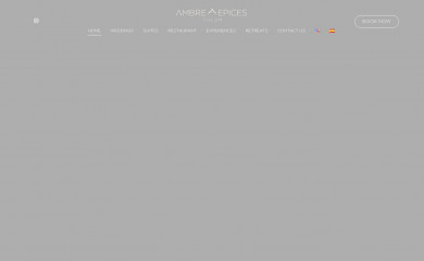 ambreetepices.mx screenshot