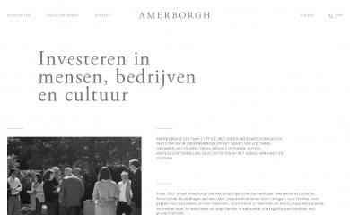 amerborgh.com screenshot