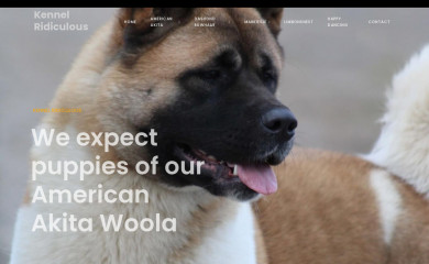 americanakitas.org screenshot