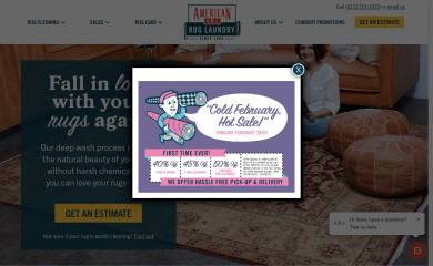 americanruglaundry.com screenshot