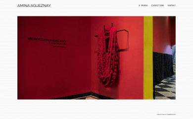 aminaagueznay.com screenshot