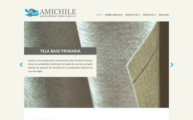 amichile.cl screenshot